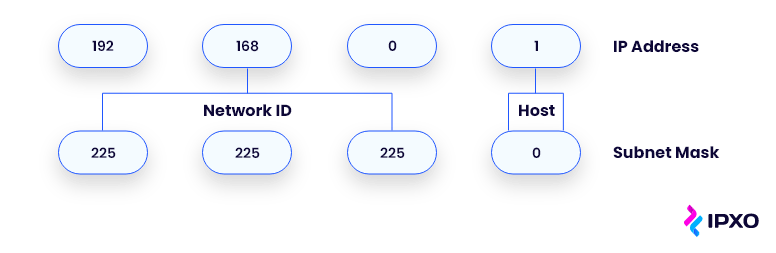 Is a Subnet Mask? Beginner's Guide to Subnetting - IPXO
